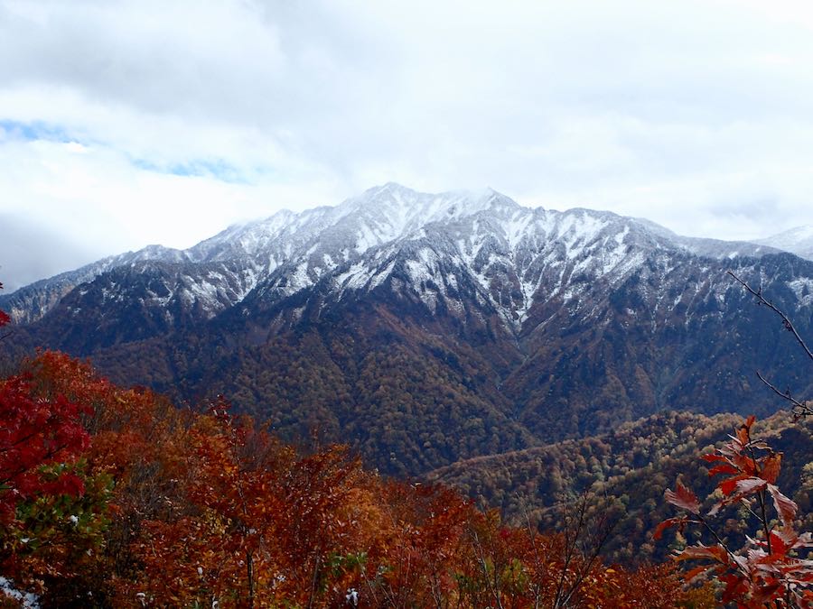 荒沢だけがかっこいい